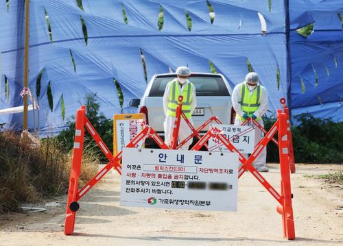 긴급 방역 중인 안성 럼피스킨 발생 농장[연합뉴스. 재판매 및 DB 금지]