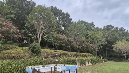 투하지점까지 도착한 드론[촬영 정종호]