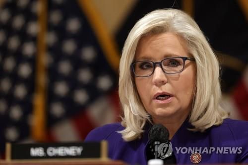 리즈 체니 전 미국 연방 하원의원[AFP=연합뉴스 자료사진. 재판매 및 DB 금지]