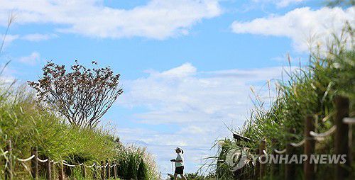 여름이 떠나간 그 자리엔 가을이[연합뉴스 자료사진]