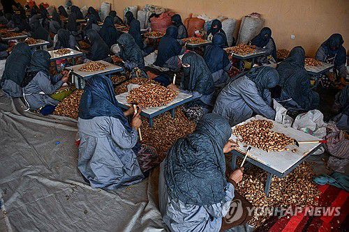 공장에서 일하는 아프간 여성들[AFP 연합뉴스 자료사진. 재판매 및 DB 금지]