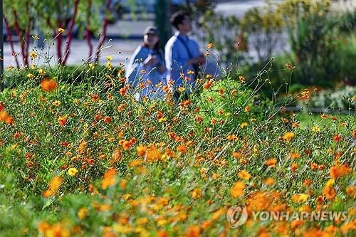 가을 산책[연합뉴스 자료사진]