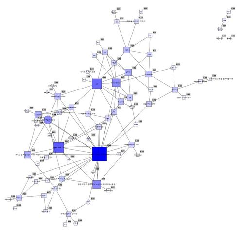 중국인 추정 계정 77개에 대한 소셜네트워크 분석 결과[김은영 가톨릭관동대 교수 제공. 재판매 및 DB 금지]