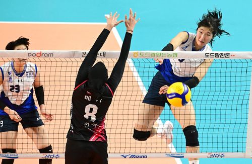 공격하는 정지윤(서울=연합뉴스) 현대건설 정지윤이 6일 경남 통영체육관에서 열린 2024 통영·도드람컵 프로배구대회 여자부 결승에서 정관장 메가의 위에서 공을 때리고 있다. [한국배구연맹 제공. 재판매 및 DB금지]