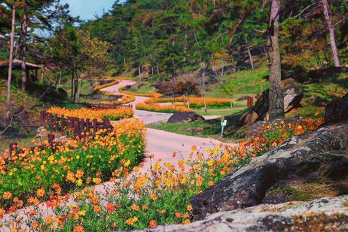 화순 고인돌 유적지[전남도제공]