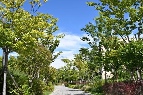 바람길다님숲[울산 중구 제공. 재판매 및 DB 금지]