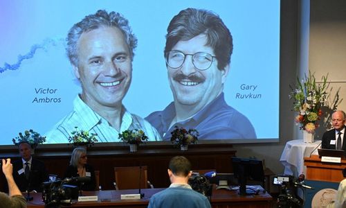 2024 노벨 생리의학상 수상자 발표 [AFP=연합뉴스]