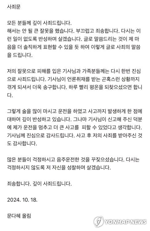 문재인 전 대통령의 딸 다혜 씨 사과문문재인 전 대통령 딸 문다혜 씨 사과문. [문다혜 씨 측 제공]