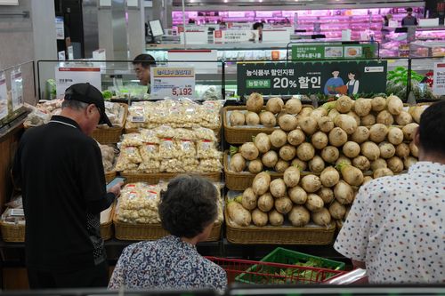 농식품부의 김장 재료비 할인이 지원된 깐마늘과 무[롯데마트 제공. 재판매 및 DB금지]