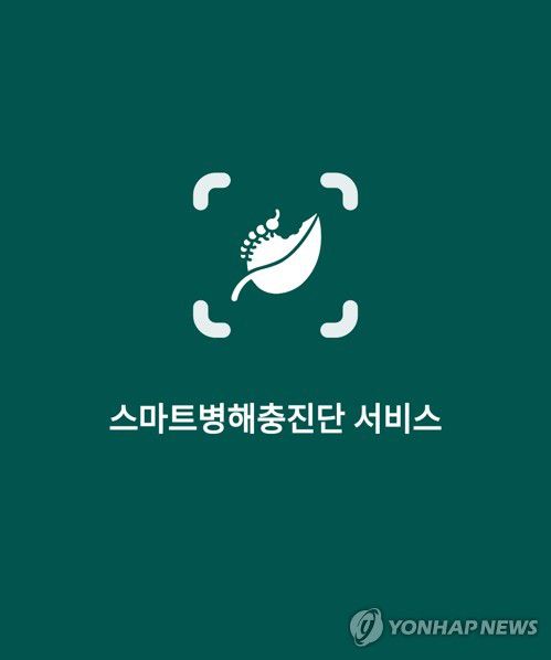 스마트 병해충 진단 서비스 앱[제주도 농업기술원 제공.재판매 및 DB 금지]