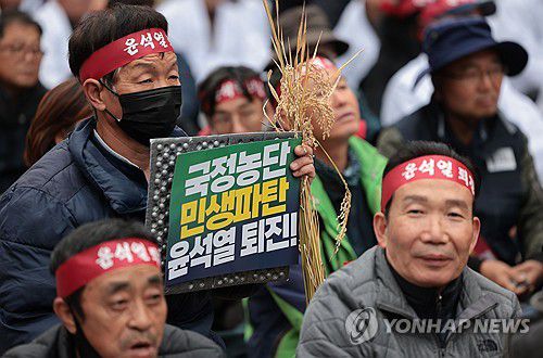 거리로 나온 농민들(서울=연합뉴스) 김인철 기자 = 20일 서울 중구 숭례문 앞 세종대로에서 열린 전국농민대회 및 윤석열 정권 퇴진 2차 총궐기에서 한 농민이 손팻말과 벼를 들고 있다. 2024.11.20 yatoya@yna.co.kr