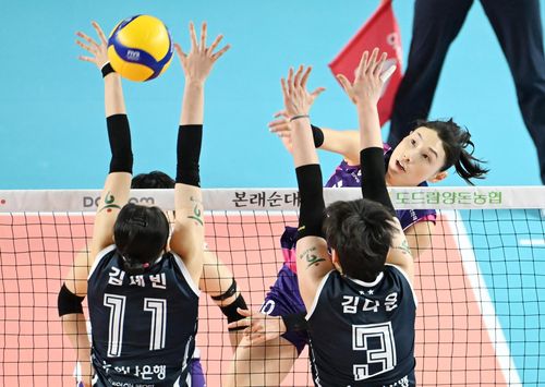 스파이크하는 흥국생명의 김연경(맨 오른쪽)[한국배구연맹 제공. 재판매 및 DB 금지]