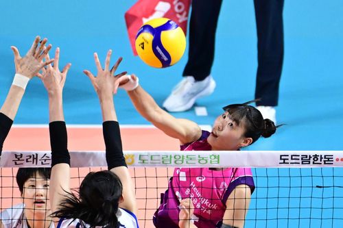 정윤주의 스파이크[한국배구연맹 제공. 재판매 및 DB 금지]