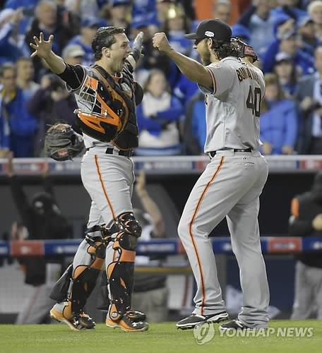 2014년 월드시리즈 우승 배터리 범가너와 포지[EPA=연합뉴스]