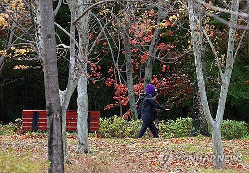 가을에서 겨울로[연합뉴스 자료사진]