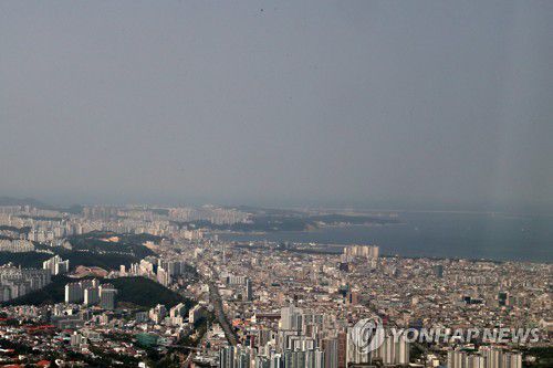 포항 시가지[촬영 손대성]