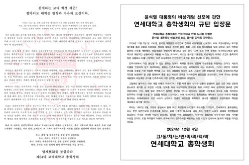 고려대·연세대 총학생회 성명[총학생회 인스타그램 캡처. 재판매 및 DB 금지]