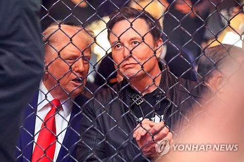 트럼프 당선인과 UFC 경기를 관람하는 일론 머스크(오른쪽)[AFP 연합뉴스 자료사진]