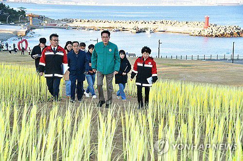 울주군수, 간절곶 해맞이행사 점검(울산=연합뉴스) 5일 이순걸 울산시 울주군수(맨 앞)가 이춘근 울주문화재단 대표이사, 박경례 문화관광국장 및 관계 공무원 일행과 함께 서생면 대송리 간절곶을 방문, 2025 간절곶 해맞이 행사 준비상황을 점검하고 있다. 2024.12.5 [울주군 제공.재판매 및 DB 금지] young@yna.co.kr