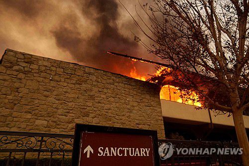 LA 산불(LA AFP=연합뉴스)8일(현지시간) LA 팰리세이즈 지역 덮친 화재. 2025.01.09