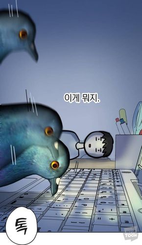 웹툰 '성북구 비둘기 이헌서' 한 장면[네이버웹툰 갈무리. 재판매 및 DB 금지]