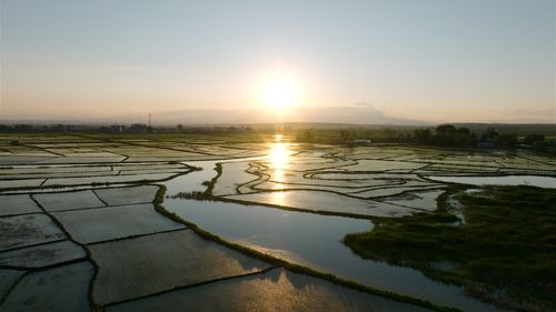 발해농장[KNN 제공]