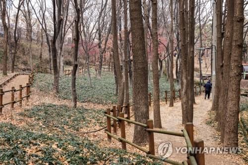 효창공원 산책로 [사진/백승렬 기자]