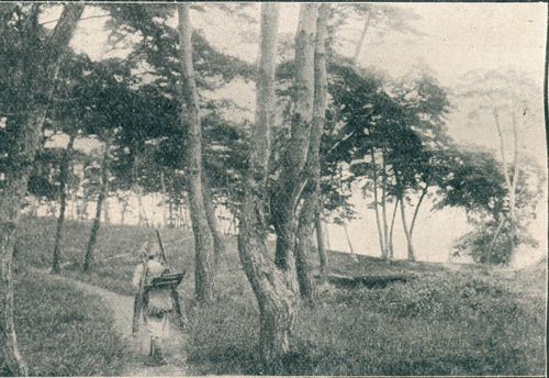 1910년대 효창숲 모습 [서울역사아카이브 제공. 재판매 및 DB 금지]