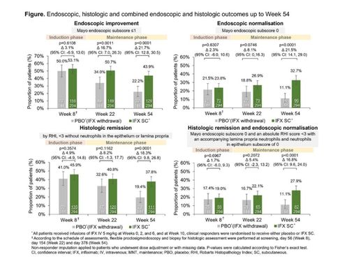 54주까지 내시경적, 조직학적, 혼합적 결과 [셀트리온 제공]