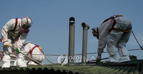 철거중인 발암물질 석면 슬레이트 지붕[연합뉴스 자료사진]