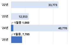 연도별 외화보험 판매 건수[금감원 제공]