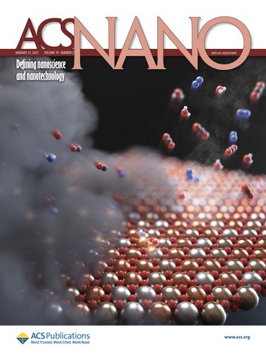 'ACS 나노' 표지 이미지촉매 표면(바닥에 깔린 물질)에서 미세먼지 전구물질이 반응하는 모습을 형상화한 모습. [울산과학기술원 제공. 재판매 및 DB 금지]