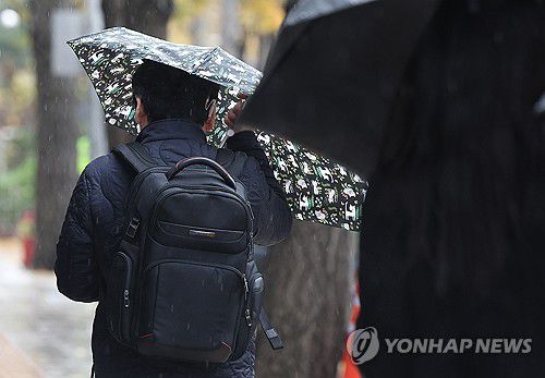 겨울비[연합뉴스 자료사진]