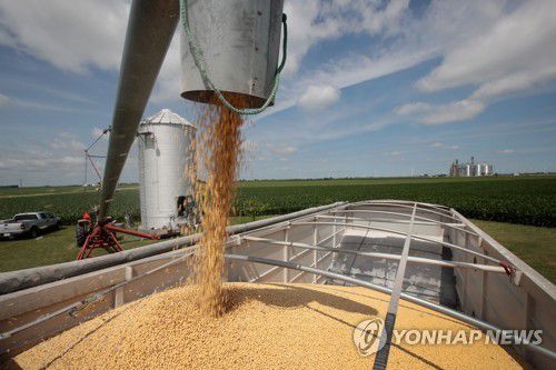 미국 일리노이주의 대두 농장 모습[AFP 연합뉴스 자료사진. 재판매 및 DB 금지]