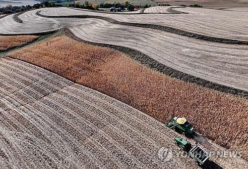 미국의 옥수수 밭[AFP 연합뉴스 자료사진. 재판매 및 DB 금지]