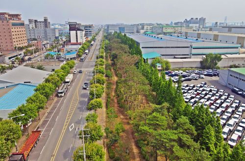 경기도 평택시 포승산업단지 미세먼지 차단숲[산림청 제공. 재판매 및 DB 금지]