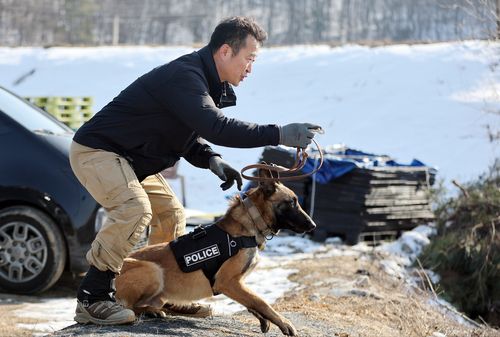 훈련하는 조헌오 핸들러와 '테오'[촬영 권준우]
