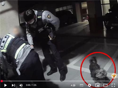 치매 할머니 발견 당시 옆에 있던 '까미'[경찰청 유튜브 캡처. DB 및 재판매 금지]