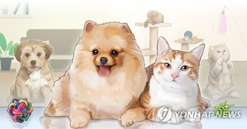 반려동물 강아지+고양이 (PG)[홍소영 제작] 일러스트