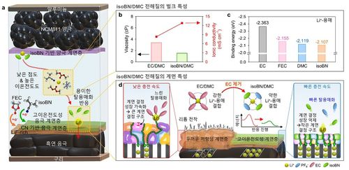 리튬 이온 배터리의 전해질 용매 원리 [KAIST 제공. 재판매 및 DB 금지]