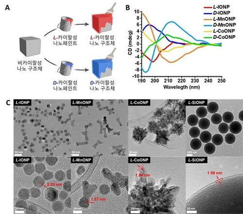 카이랄 나노 페인트 기술  [KAIST 제공. 재판매 및 DB 금지]