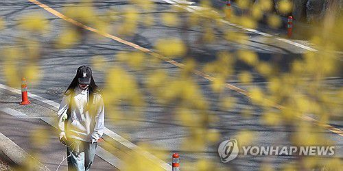 캠퍼스는 봄[연합뉴스 자료사진]