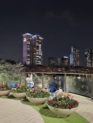 작년 4월 잠실호수교 전망쉼터 가로화분[송파구 제공. 재판매 및 DB 금지]