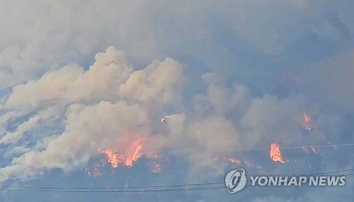 연합뉴스