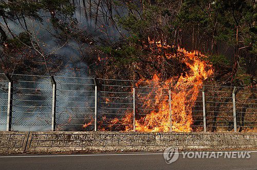연합뉴스