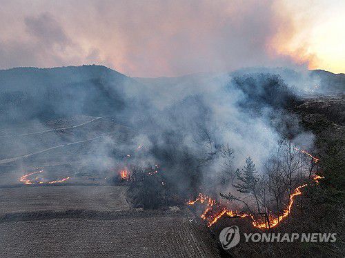 연합뉴스