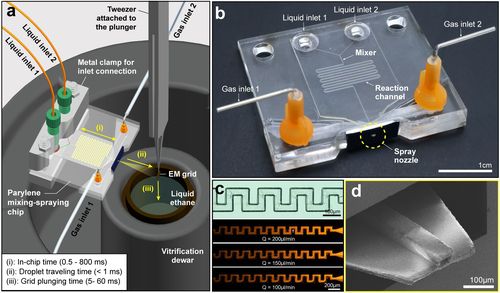 KAIST 연구팀이 개발한 TRCEM 기법 [KAIST 제공. 재판매 및 DB 금지]