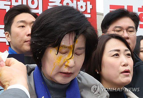 계란 봉변 당한 민주당 백혜련 의원(서울=연합뉴스) 이진욱 기자 = 더불어민주당 백혜련 의원이 20일 서울 종로구 헌법재판소 앞에서 열린 민주당 원내부대표단의 윤석열 대통령 신속 파면 촉구 기자회견 도중 얼굴에 계란을 맞아 닦아내고 있다. 2025.3.20 cityboy@yna.co.kr