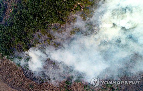 안동으로 번진 산불(안동=연합뉴스) 김도훈 기자 = 경북 의성에서 시작된 산불이 안동으로 번진 가운데 25일 오전 경북 안동시 길안면 백자리 일대 야산에서 연기가 피어오르고 있다. 2025.3.25 superdoo82@yna.co.kr