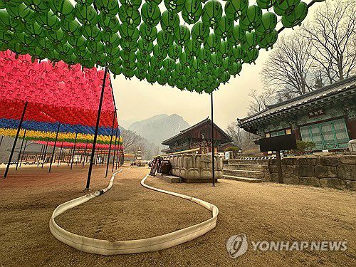 '사찰 화재 막아라' 고군분투(청송=연합뉴스) 강태현 기자 = 26일 오전 경북 청송 주왕산 국립공원의 '얼굴' 천년고찰 대전사가 희뿌연 연기에 뒤덮여 있는 가운데 사찰 관계자들이 옥외 소화전에 소방 호스를 연결해 비화를 막고 있다.     지난 22일 의성에서 시작해 닷새째 확산 중인 산불이 전날 안동을 지나 청송 주왕산 국립공원까지 번지면서 밤사이 대전사에도 비상이 걸렸으나 불길이 옮겨붙지는 않았다. 2025.3.26 taetae@yna.co.kr